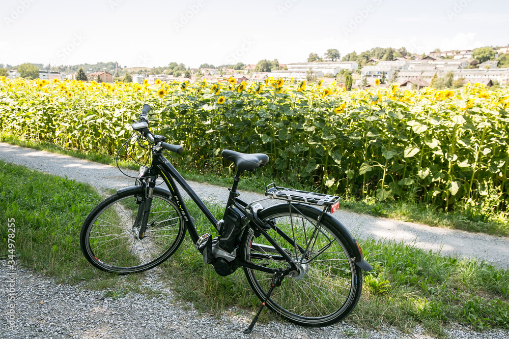 Bike in the field with sunflowers trip