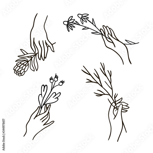 Set of simple hands with flowers and branches drawn by line. Women minimalistic contour hands perfect for logo, cosmetics, eco shops, beauty and fashion concept.