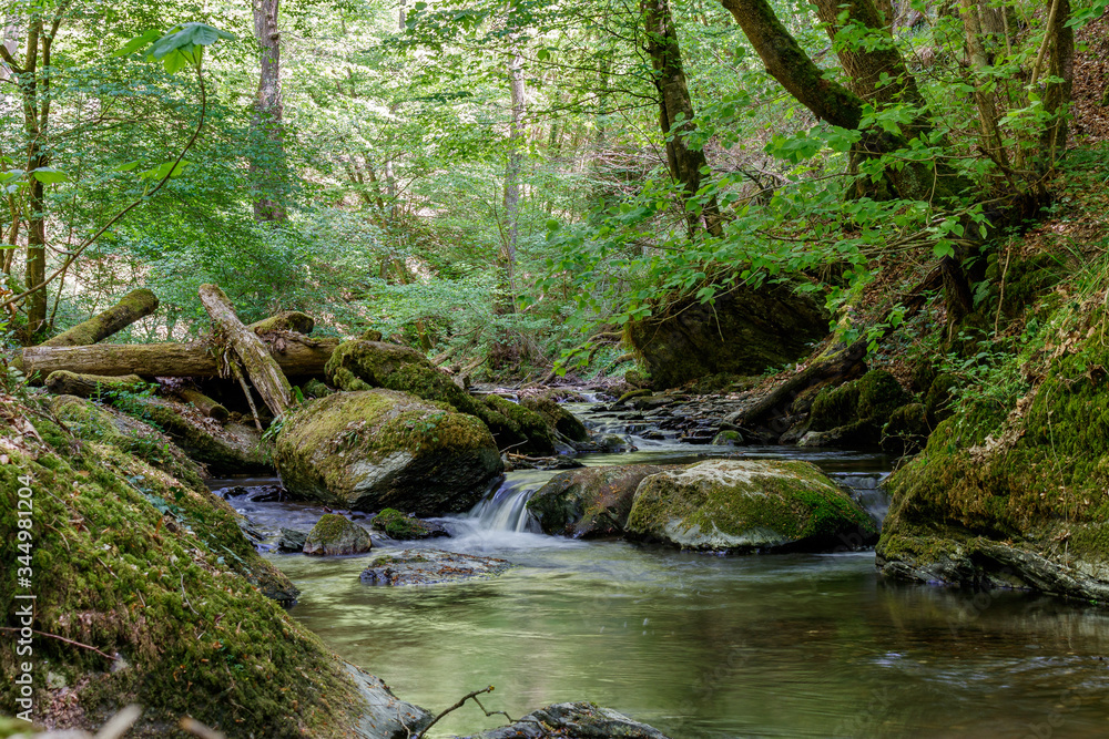 Obraz premium Schnell fließendes Wasser in einer bewaldeten SChlucht