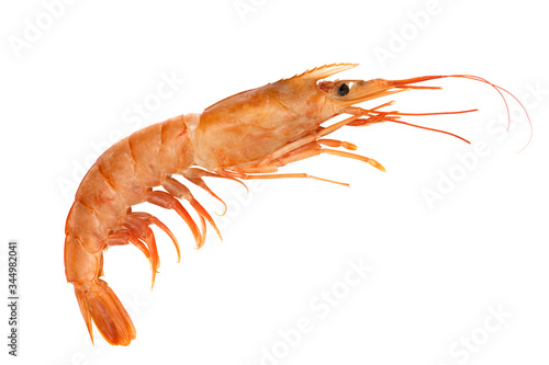 Red raw shrimp isolated on a white background. 