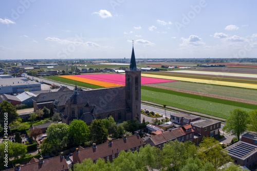 Aerial drone photo of colourful bulbs of tulips in full bloom in Lisse, The Netherlands