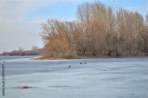 Wallpaper Mural river in winter Torontodigital.ca