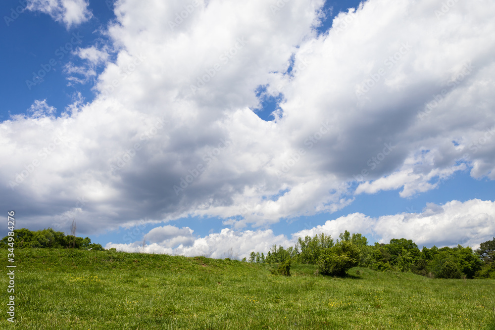 Hillside pasture with lush vegetation looking up at huge white clouds and deep blue sky, creative copy space, horizontal aspect