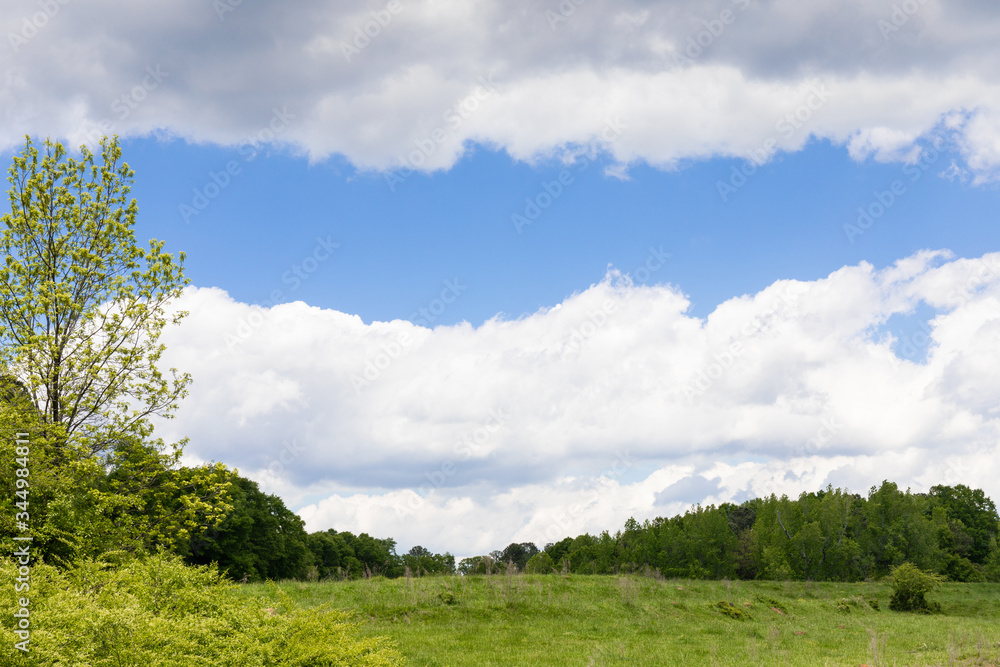 Pasture lined with trees and shrubs, spring green, with blue sky line between two layers of clouds, creative copy space, horizontal aspect Pasture lined with trees and shrubs, spring green, with blue sky line between two layers of clouds, creative copy space, horizontal aspect