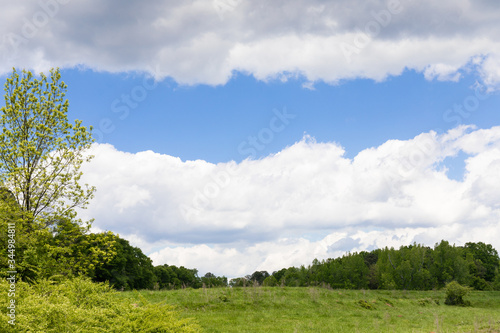 Pasture lined with trees and shrubs, spring green, with blue sky line between two layers of clouds, creative copy space, horizontal aspect