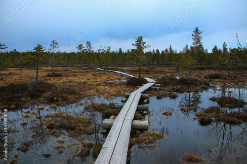 a huge bog in finland photo