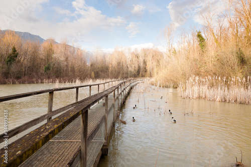 Old wood footbridge on lagoon, rural landscape © elleonzebon
