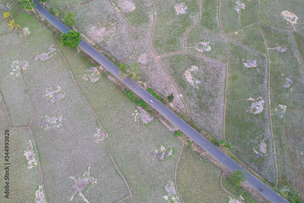 Fototapeta premium aerial view ricefield afternoon