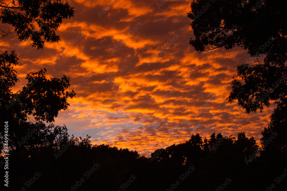 Fototapeta premium sunset in the sky