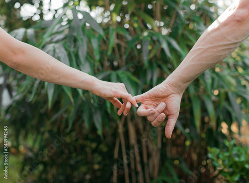 hands of a man and woman. Couple in love. Love photo. Hands. People. Nature background.  © Erika