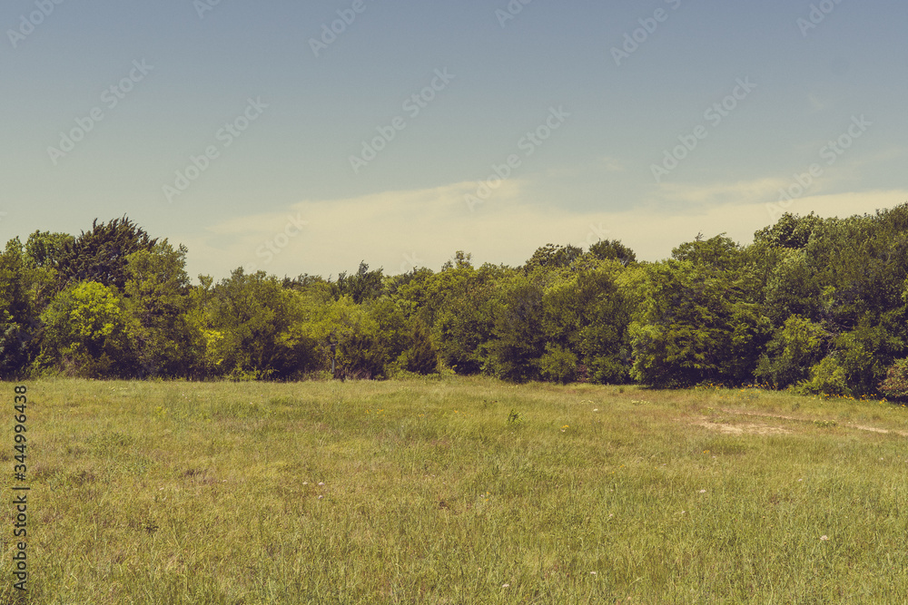 Texas City Natural Park on a sunny spring day.