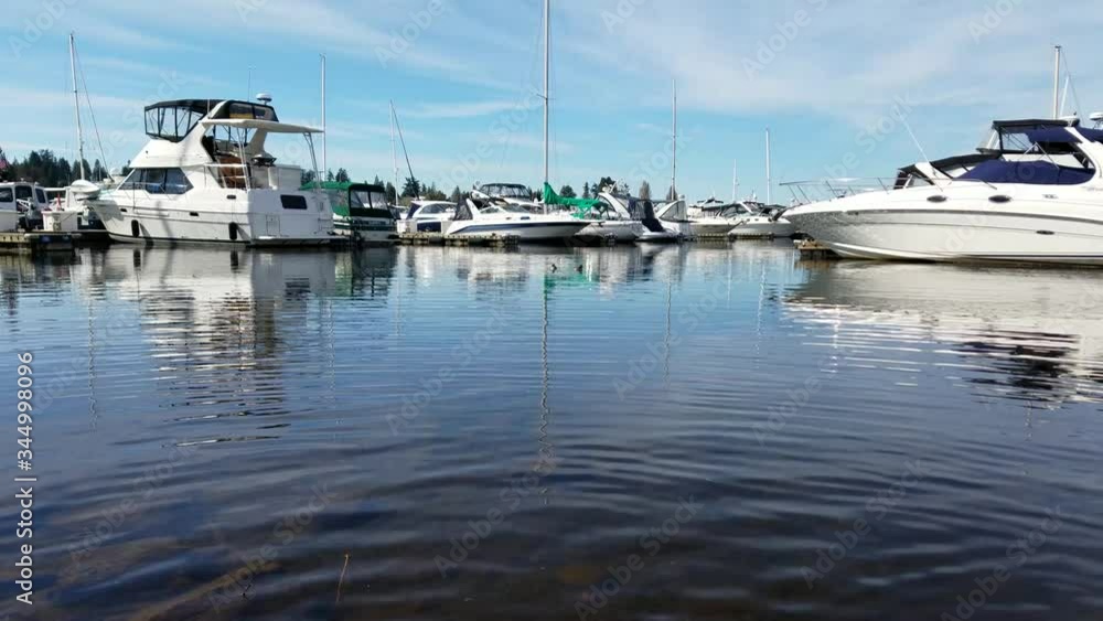 Many sailboats docked during a calm sunny day Many sailboats docked during a calm sunny day