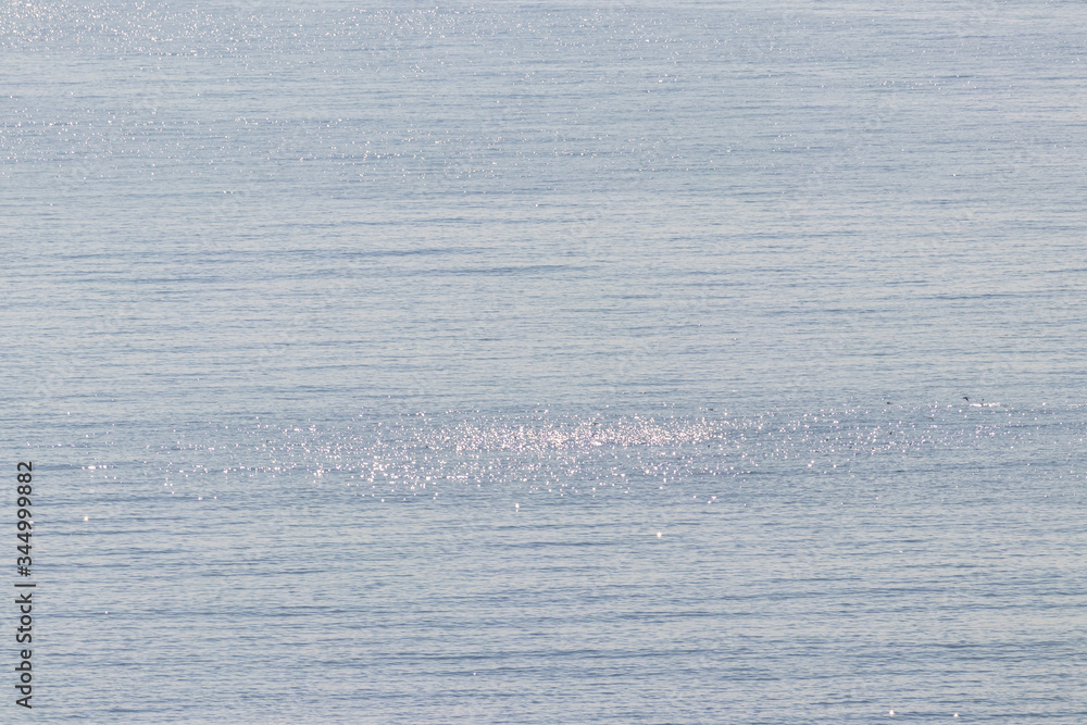 Fototapeta premium ナブラ