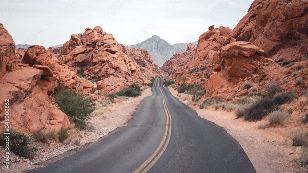 A street in the valley of fire state park, USA