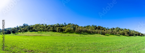 Green Field of Grass and Trees on Hillside © Mark