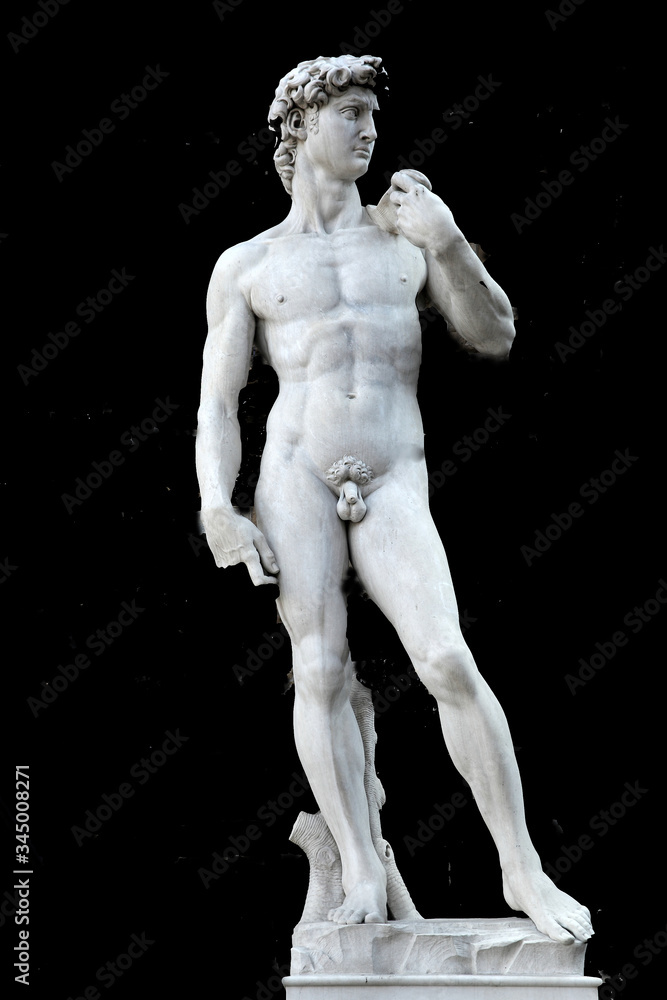 David David