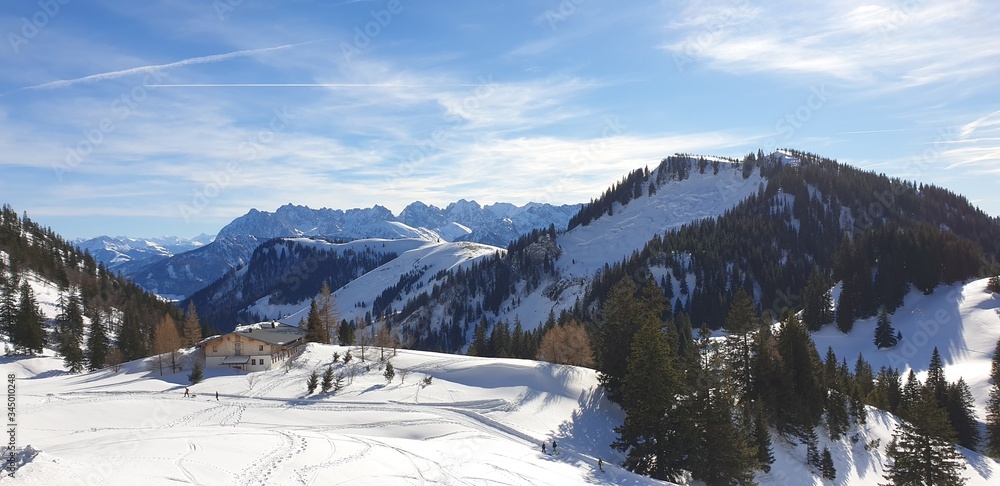 Snowy alps panorama