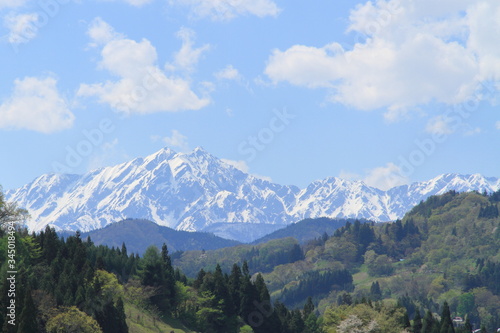 春の白馬(Hakuba in spring)