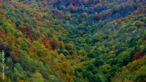 Aerial view of deciduous forest in autumn at the Monastery of Valvanera, La Rioja, Spain, Europe photo