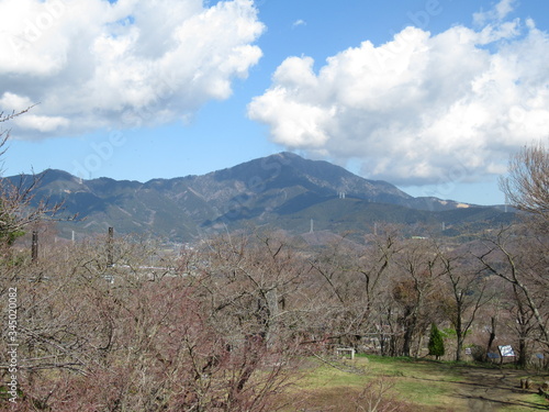 山