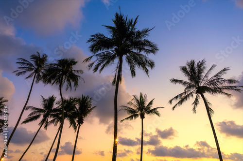 The landscape of the evening scenery of coconut trees by the beach of Ko Kood, Thailand, Blue sky in a romantic and happy atmosphere, Holiday travel concept.