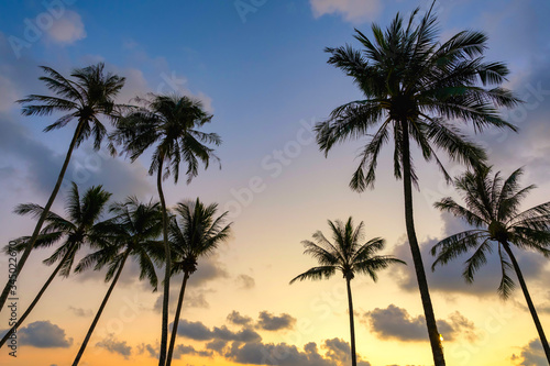 The landscape of the evening scenery of coconut trees by the beach of Ko Kood, Thailand, Blue sky in a romantic and happy atmosphere, Holiday travel concept. © Lowpower
