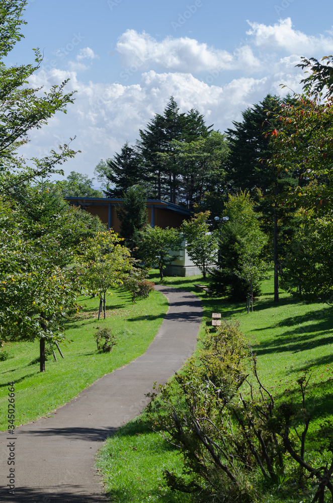 公園の風景 公園の風景