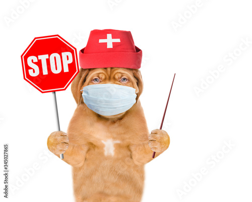 Puppy dressed like a doctor with medical mask and hat shows stop sign and points away on empty space. Isolated on white background © Ermolaev Alexandr