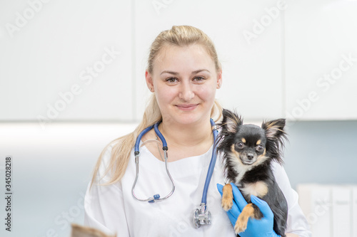 Fototapeta Naklejka Na Ścianę i Meble -  Happy veterinarian doctor hugs puppy in vet clinic. Empty space for text