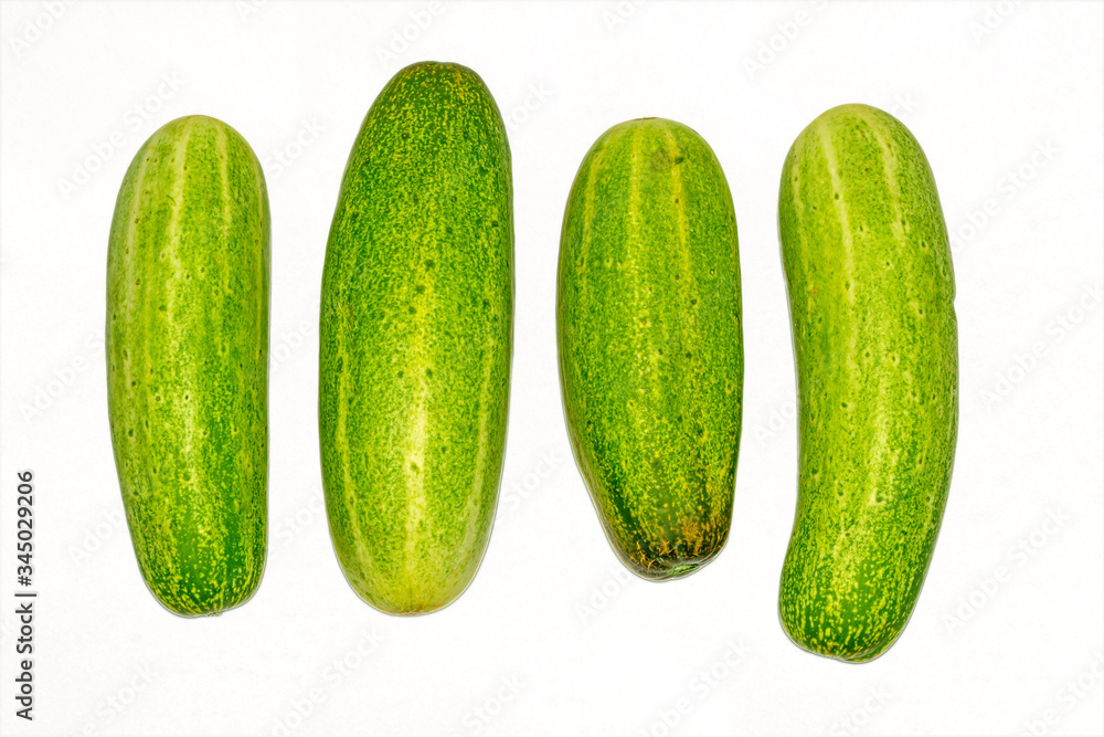 Fresh green cucumber on white background. Fresh green cucumber on white background.