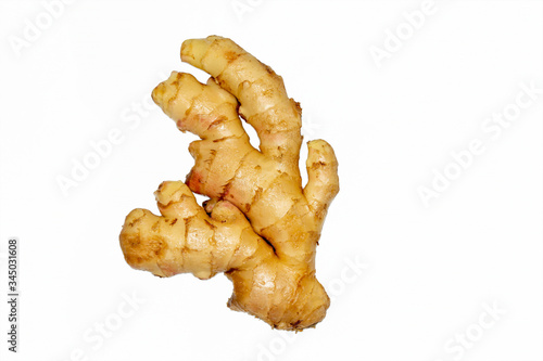 Fresh and young ginger root on white background.