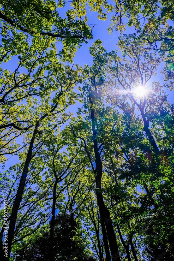 Obraz premium 【東京都 町田】都内にある田舎の風景