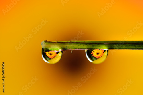 Gentle reflection on the water droplets macro photo