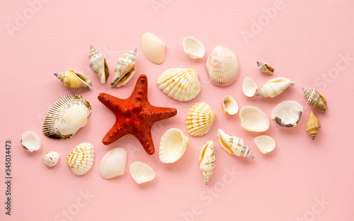 Flat lay of sea shells with starfish on a pink background