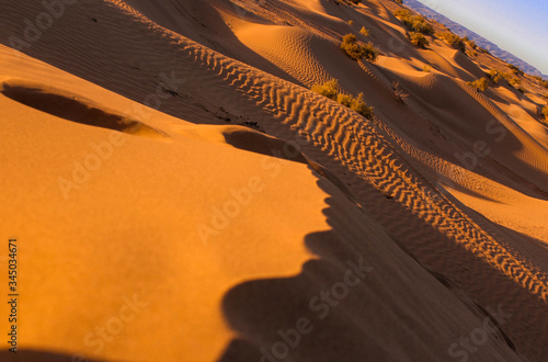 Photography desert sand dunes