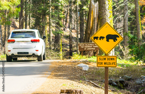 bear sign on the road in national park.