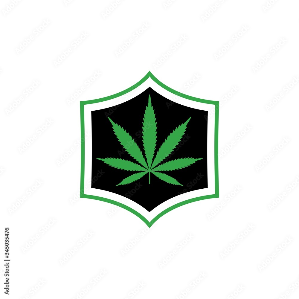 Shield and marijuana or cannabis leaf icon isolated on white background