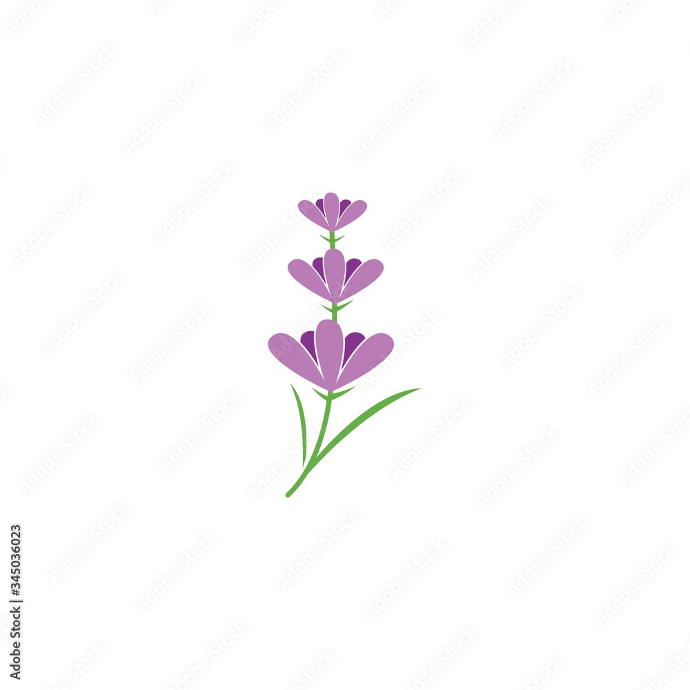 Lavender logo Lavender logo
