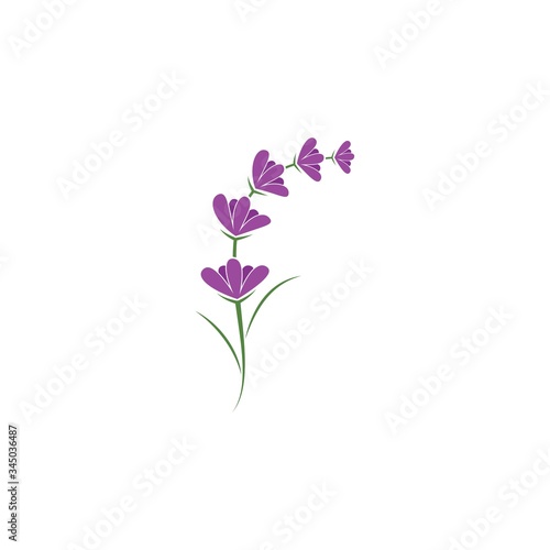 Lavender logo © devankastudio