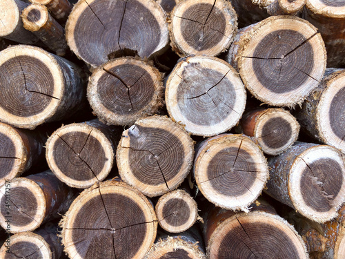 Wooden background. Side view of a pile of firewood. Texture of round cuts of wood. Brown textured background. Horizontal  nobody  free space  close-up.