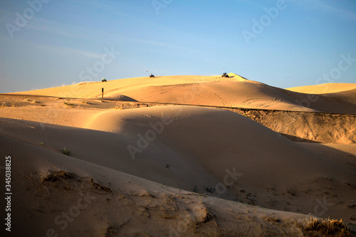 Desert Landscapes 