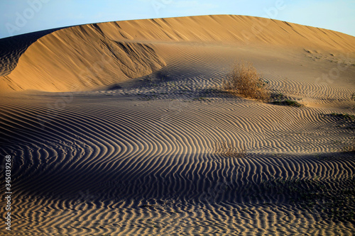 Desert Landscapes 