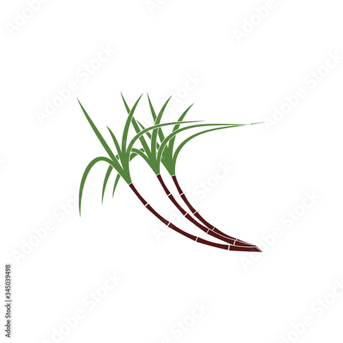 Sugar cane Logo Template vector symbol