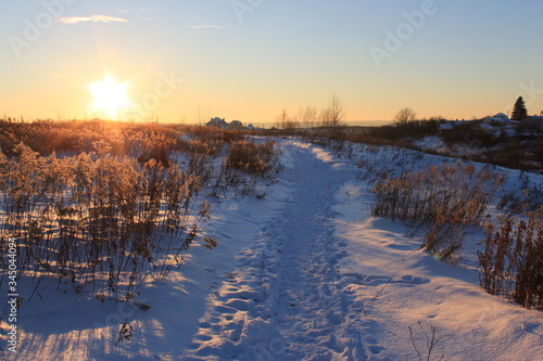 winter road in the field