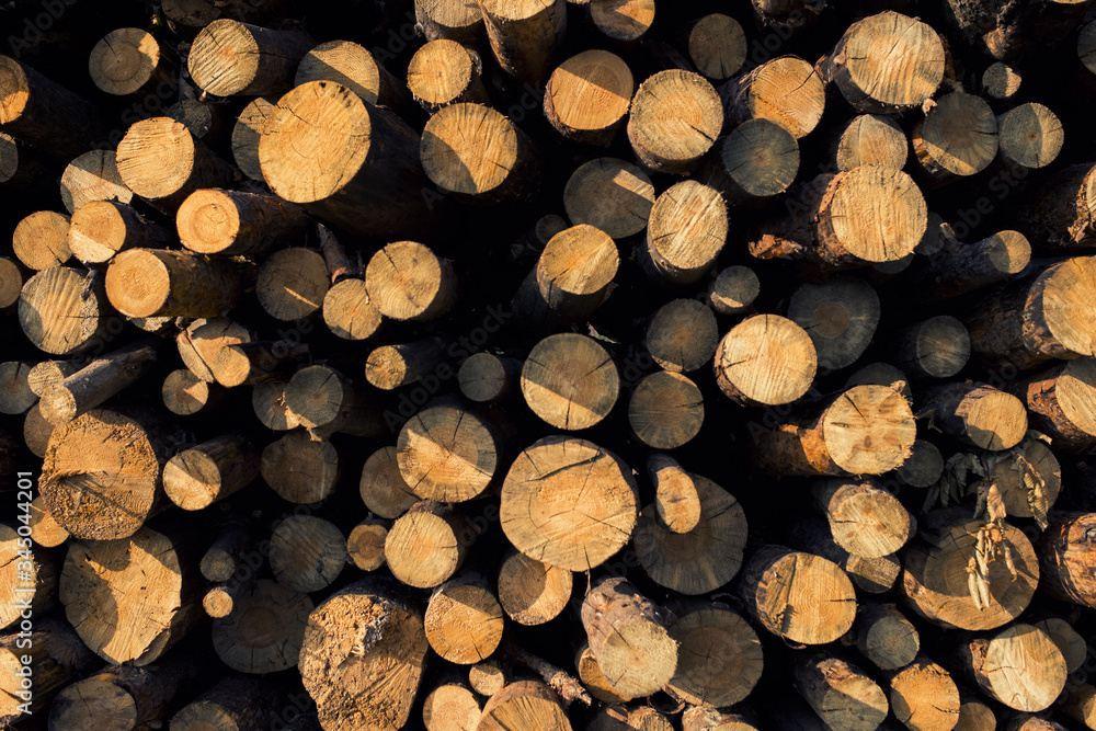 Wood Piles Reserved in Nature Wood Piles Reserved in Nature
