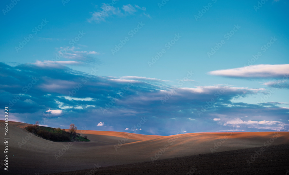 Summer Landscapes of Ukraine Nature