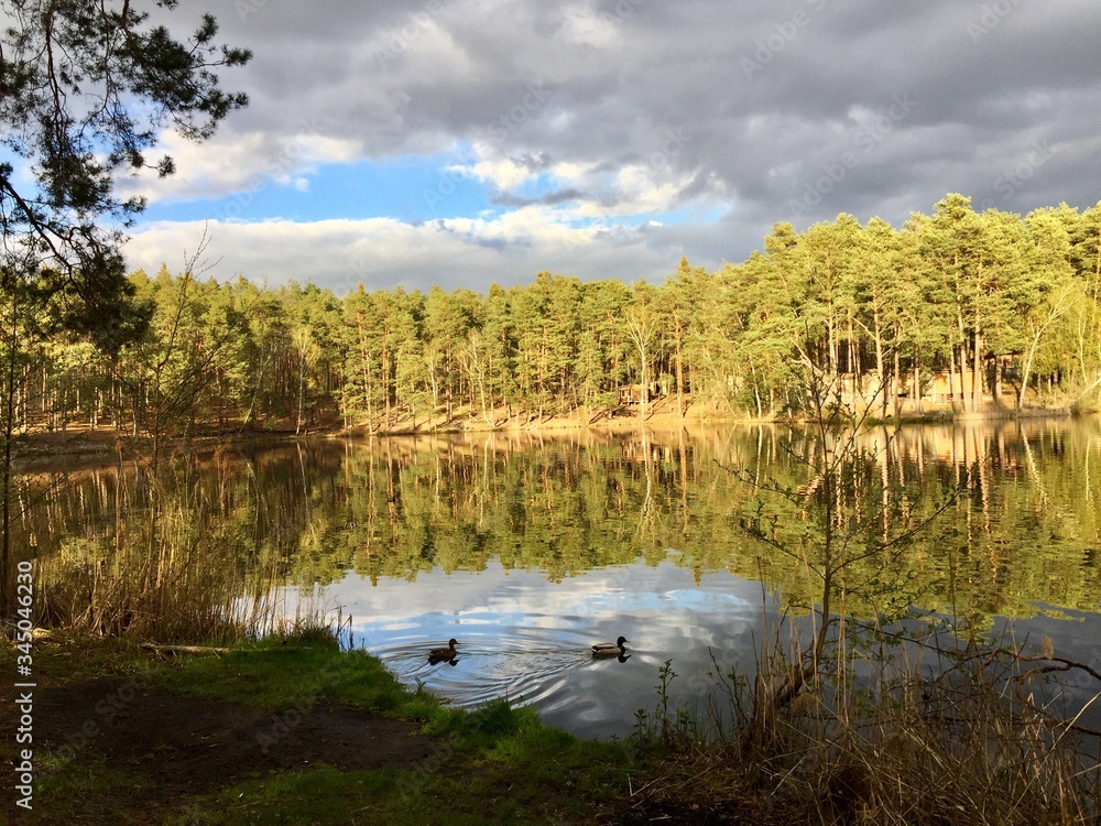 Fototapeta premium Golejów jezioro , jezioro wiosna , Golejów Staszów , Staszów jezioro , panorama jeziora , Golejów jezioro
