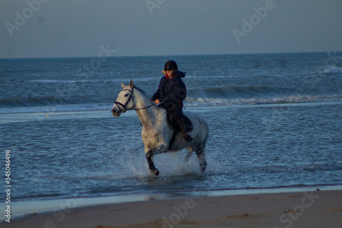 horse riding on the beach with a sunset, water, sand. Girls having fun