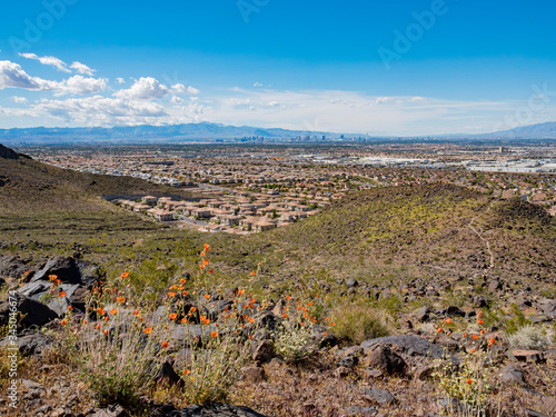 Photography High angle view of the Las Vegas strip skyline and cityscape