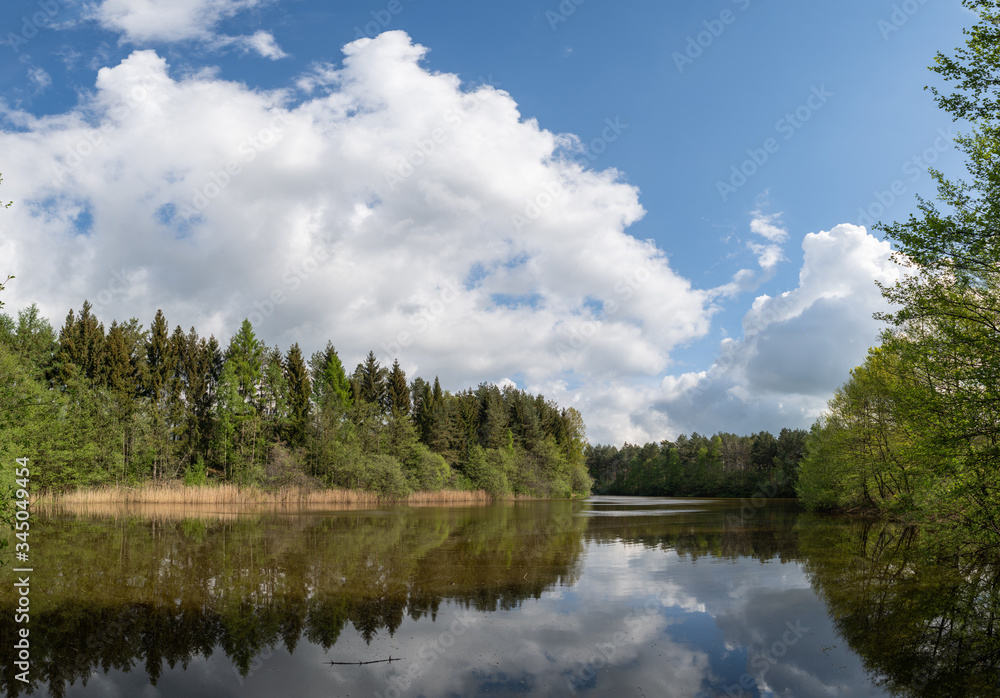 Fototapeta premium a wonderful shot of a pond in which many trees are reflected with a cloudy background